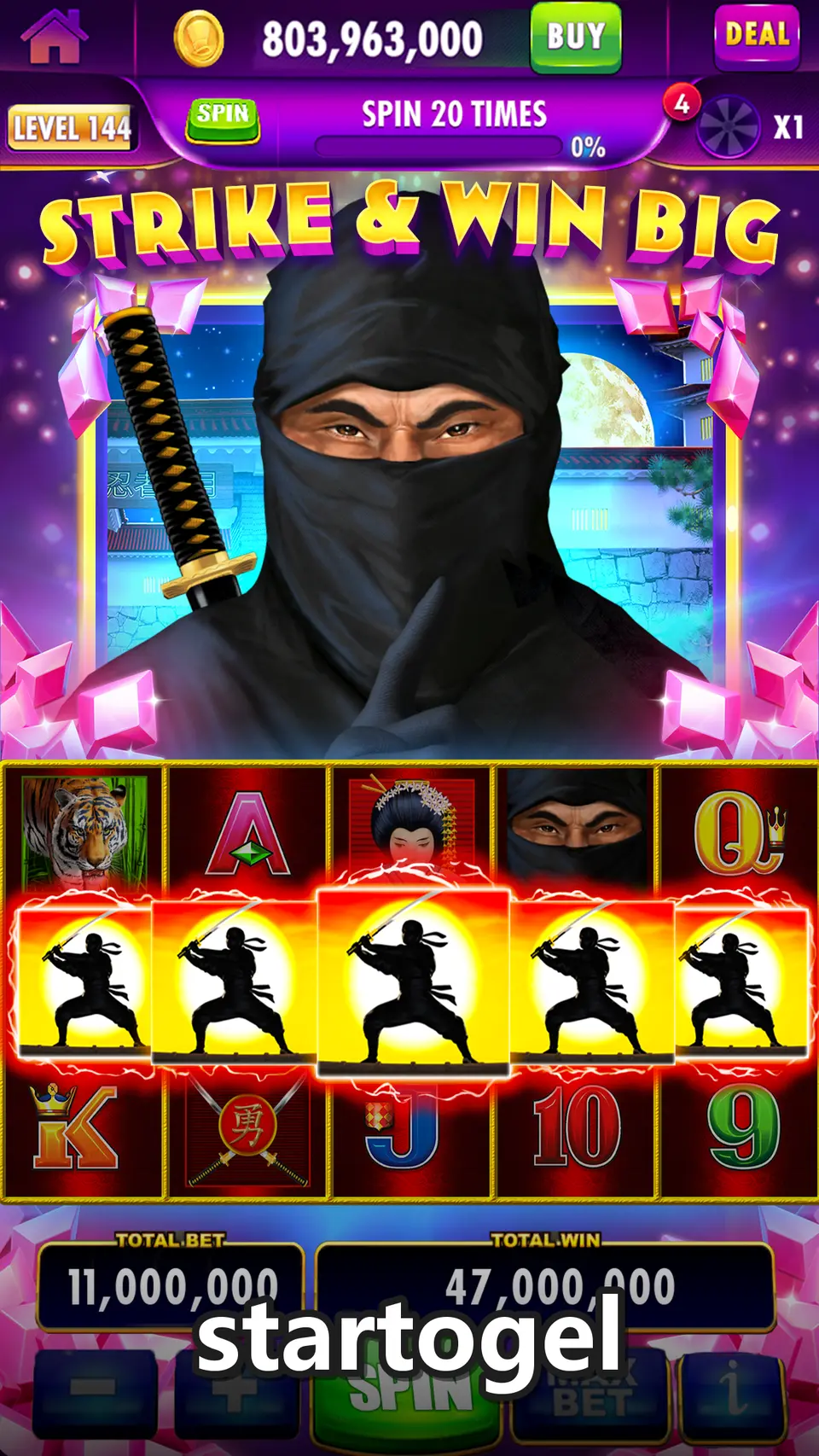 startogel screenshot